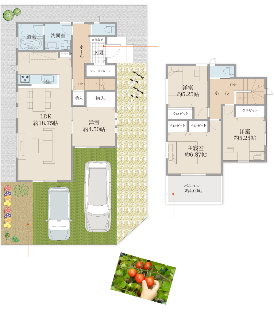 7号地プラン